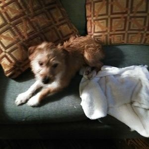 Meet your Posher, Elsie